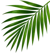 Decorative leaf
